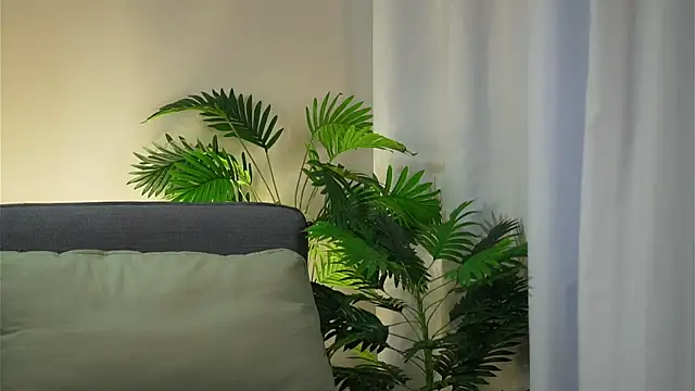 akumadadrive live sex cam