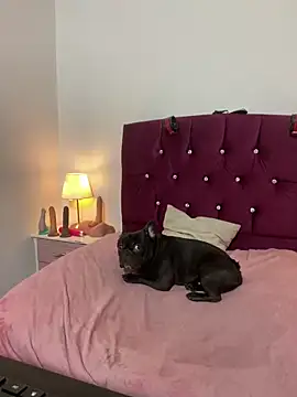 shara_'s cam snapshot