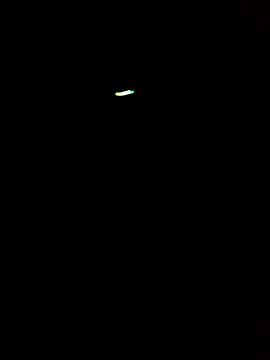 Morbosnif's cam snapshot