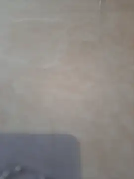 piedic's cam snapshot