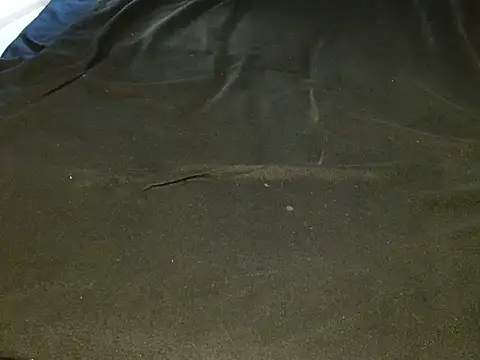 sexxytracy live sex cam