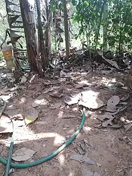 smgrtamil live sex cam