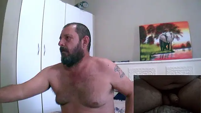 palmview2 live sex cam