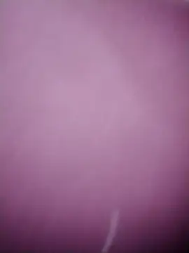 linda_bae00 live sex cam