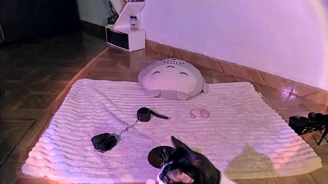 yury____sun's cam snapshot