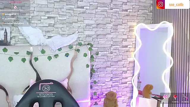 casse_tay's cam snapshot