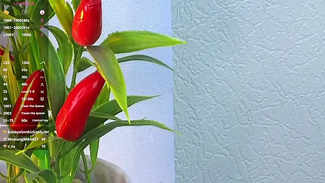 JettaPrincess's cam snapshot