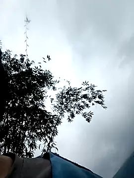 blonde_blg's cam snapshot