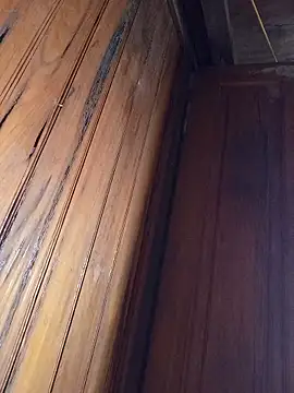 dakota-kis's cam snapshot