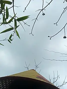 Nga_x9's cam snapshot