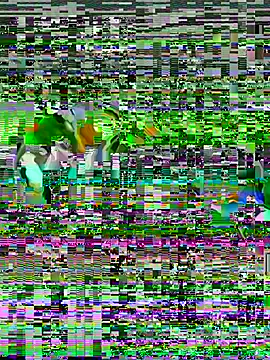 Honeycoco0211's cam snapshot