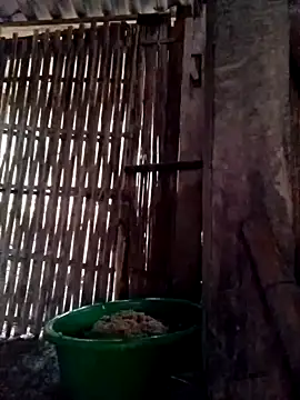 Nhoccon90's cam snapshot