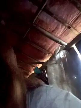 Mini66666's cam snapshot