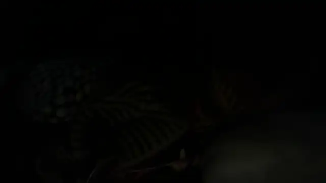 PrettyGirlMercedes's cam snapshot