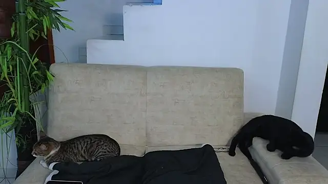 Lorenne_Miller's cam snapshot