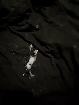 dracoredemon live sex cam