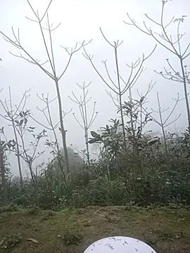 cutebobi's cam snapshot