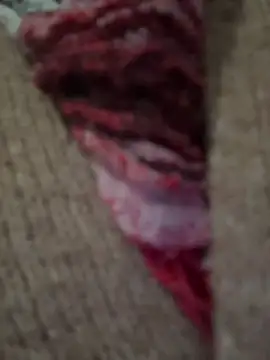 eveangelll live sex cam