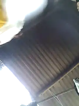 nide_xiaogou_x's cam snapshot