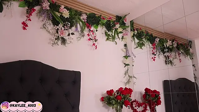 kaylee_lee's cam snapshot