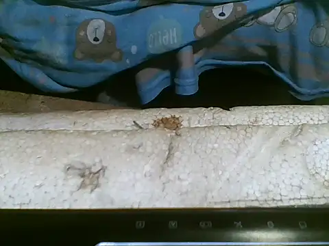 joseee004's cam snapshot