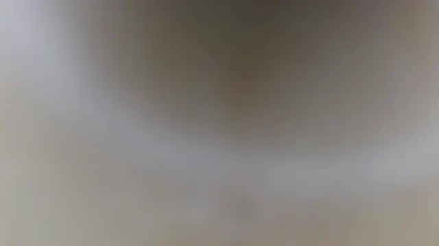 Naturfreund1965's cam snapshot