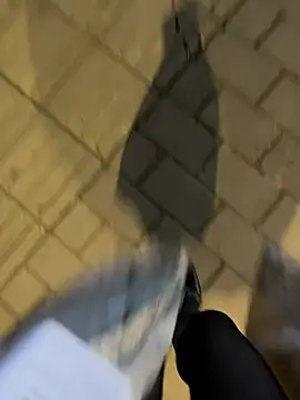 petoys's cam snapshot