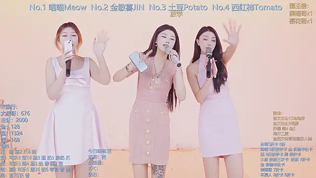 SSF-888's cam snapshot