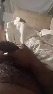 Cbelite1 live sex cam