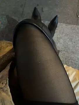 petoys's cam snapshot